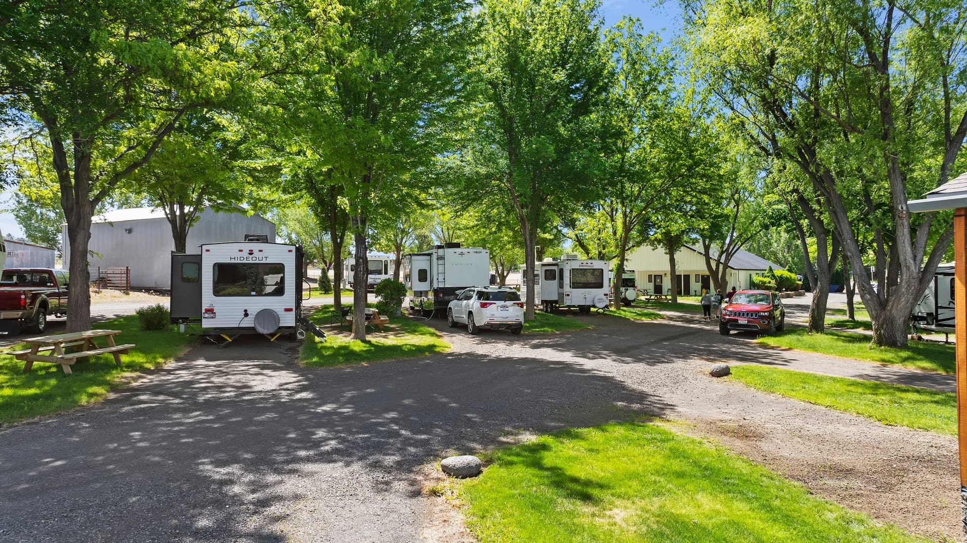 RV sites under mature shade trees