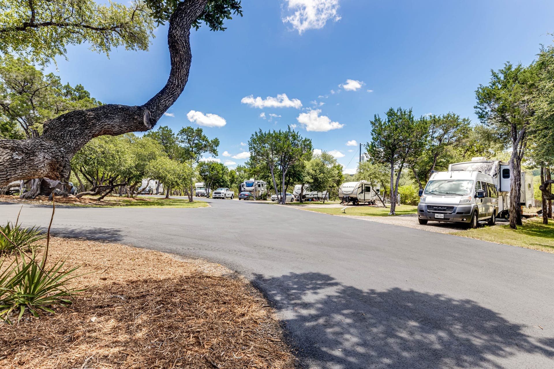 Paved drive past RV sites under live oaks